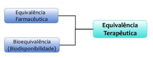 potencialidade de efeitos adversos. Devem ser seguros, eficazes e bioequivalentes.