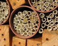 As abelhas são as polinizadoras naturais tanto na natureza como em nossa casa, tendo um papel fundamental na reprodução das plantas o que se traduz numa maior colheita de frutos.