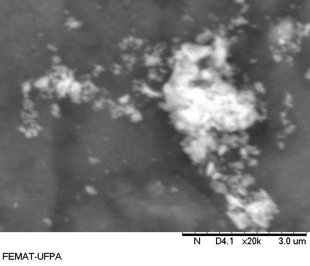 A Figura 5 mostra as imagens de microscopia