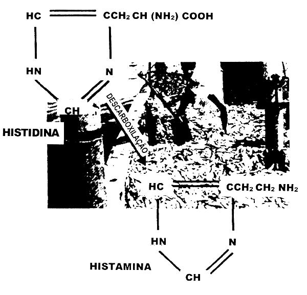 DETERMINAÇÃO FÍSICO-QUÍMICAS PARA PESCADO FRESCO: Parâmetros físico-químico: Histamina: produzida pelas bactérias do gênero clostridium, vibrio,