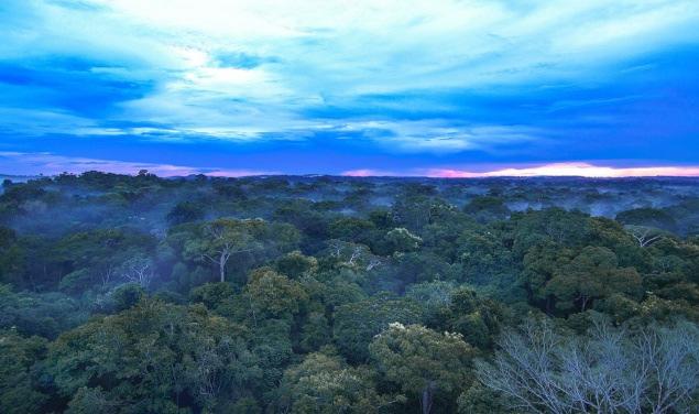 Roteiro: 1 Dia 21/jul Cristalino Lodge - Primeiro Encontro com a Floresta Chegada e transfer do aeroporto de Alta Floresta para o Cristalino Lodge, aproximadamente 01h00 de estrada e depois um