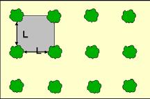 Abaixo, seguem algumas descrições de forma: Figura 18: Modelo Retangular: este modelo facilita o trânsito interno na floresta, pois