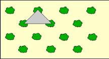 Figura 19: Modelo Quadrangular: esta disposição mantém a mesma distância entre as plantas e entre as filas, porém diminui a área útil
