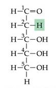 importantes e apresentam fórmula C 5 H 10 O 5. Os monossacarídeos são sólidos, cristalinos e solúveis em água e apresentam sabor doce como regra geral.