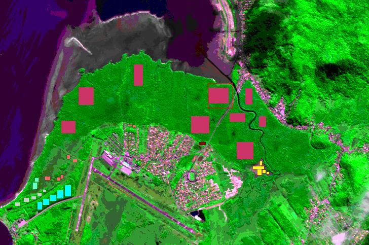 Rio Tavares Parque Florestal do Rio Vermelho Figura 4 - Localização das amostras das classes de interesse ( Mangue e Apicum) e de outras que na análise exploratória apresentaram confusão com as