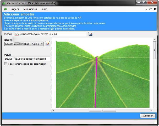 Trabalhos correlatos Título: Planatarum: API para reconhecimento de plantas (CASSANIGA, 2012)