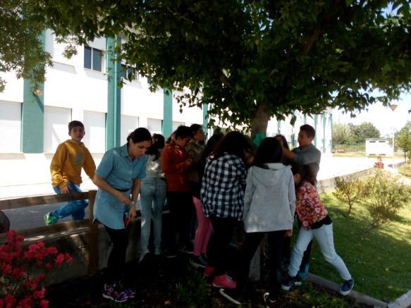 Comemoração do Dia do EcoEscolas e do Ambiente Uma forma de sensibilizar