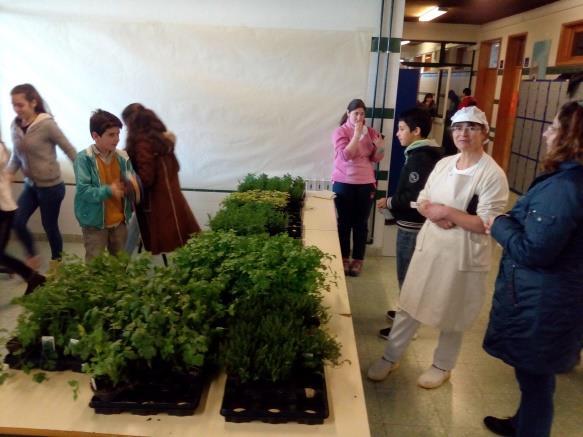 Feira de Plantas Aromáticas e