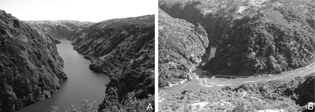 Rodrigues, J., Dias, G.. & Alves, M. I. C. Figura 2 Geomorfossítios com maior relevância no PNDI, com vista panorâmica para as arribas do Douro: (A) Miradouro de S.