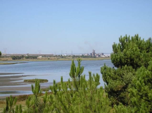 localiza-se entre as Reservas Naturais do Estuário do Tejo e do Estuário do Sado,