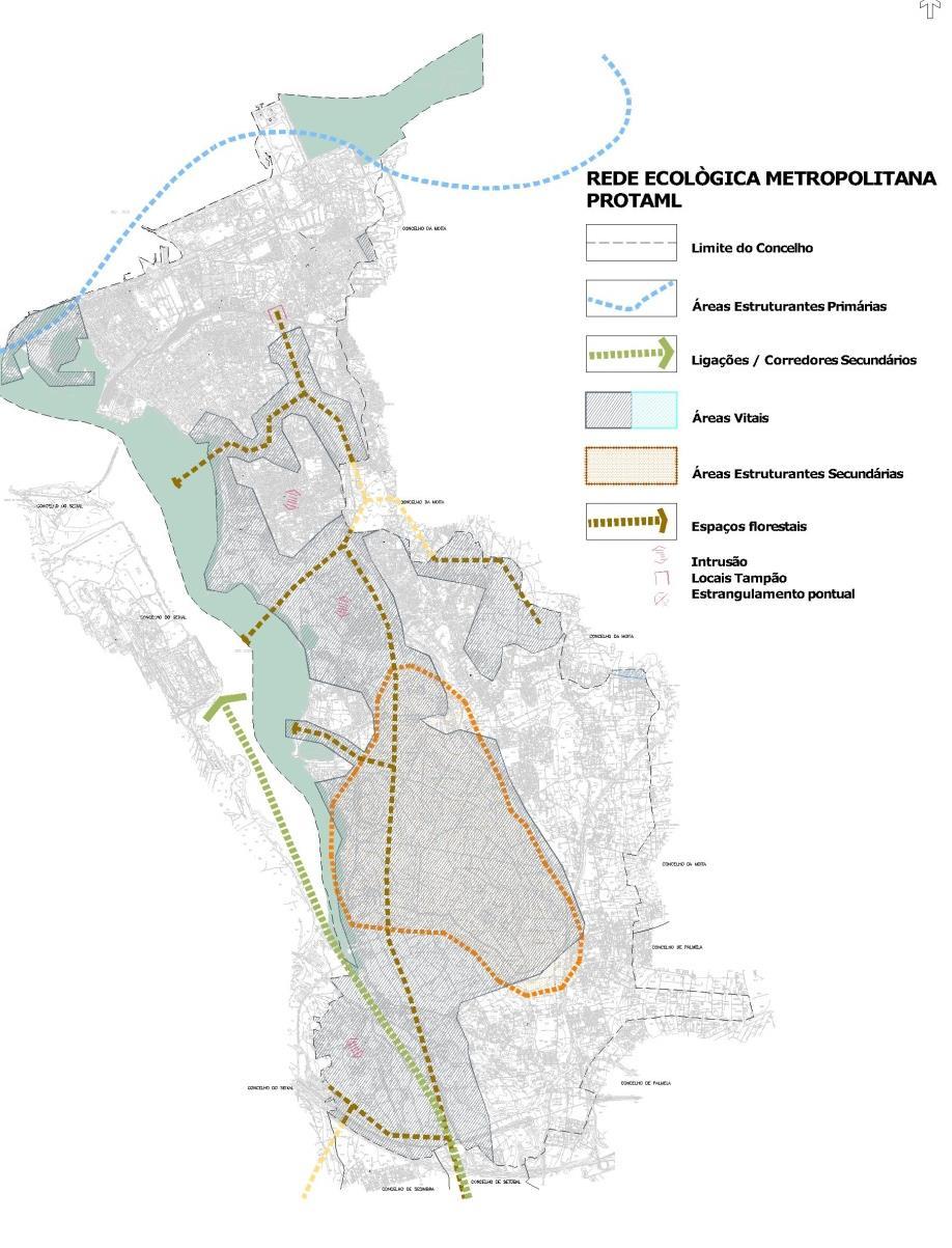 Transposição da REM para a escala municipal Com objetivo de garantir a salvaguarda das áreas de maior valor ambiental, fundamentais para a sustentabilidade do sistema ecológico da AML: Área