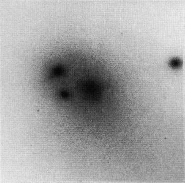 5.2 Distorções e Assimetrias 1 Algumas galáxias elípticas, em contraste com a vasta maioria, apresentam distorções possivelmente associadas