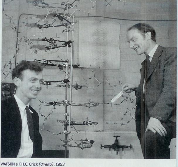 02/04/53 Nature Watson & Crick Estrutura em dupla hélice do DNA Gene