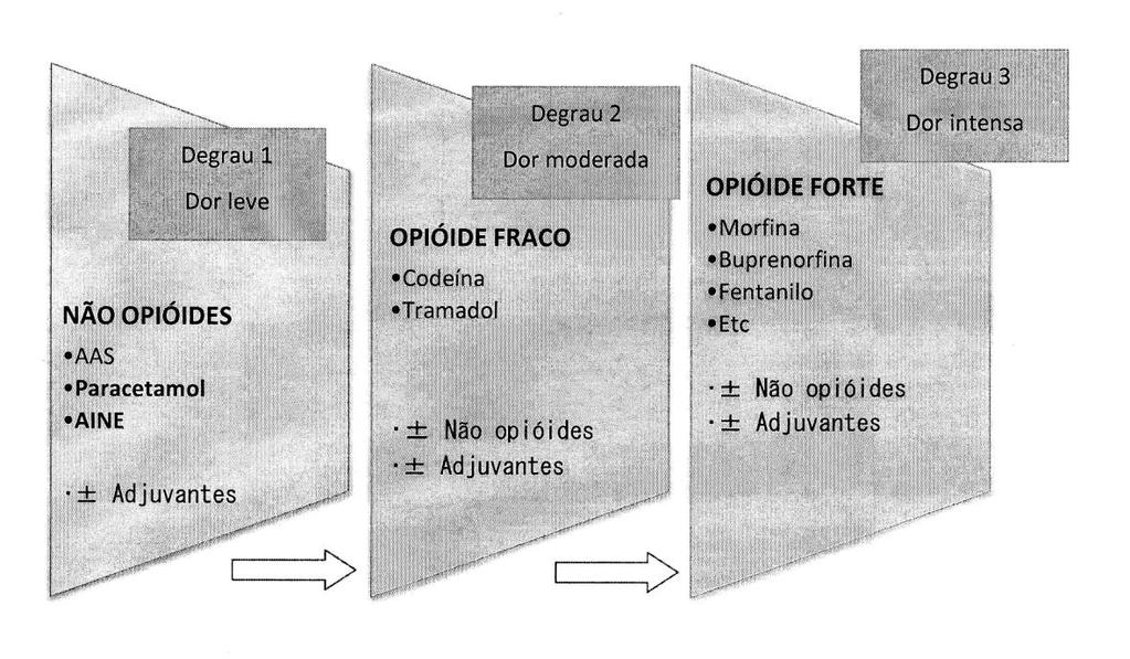 A escala analgésica da dor, elaborada pela Organização Mundial de Saúde em 1986, deve ser globalmente usada para o tratamento da dor (Figura 2): Figura 3 - Escala analgésica da dor (OMS 1986)