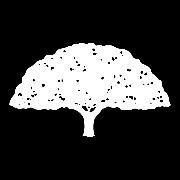 cortiça é a casca do sobreiro (Quercus suber L).