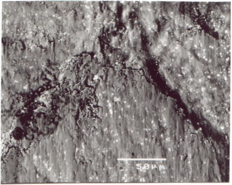 em microscópio eletrônico de varredura, após ensaio de desgaste. Figura 4.