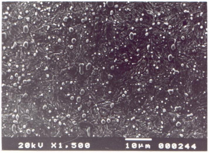 Resultados 101 Figura 4.50 - Camada nitretada homogênea quando comparada com a amostra anterior. Amostra D3 tratada em 450 C, 1 h, 25% N 2. Ataque: Reativo Villela. 4.5 ENSAIOS DE NANODUREZA Os resultados dos ensaios de nanodureza apresentados na figura 4.