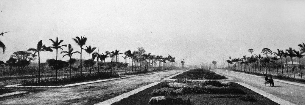 Universitária da USP. Fonte: CAMPOS. 1954, p.110. suporte para o brasão da universidade.