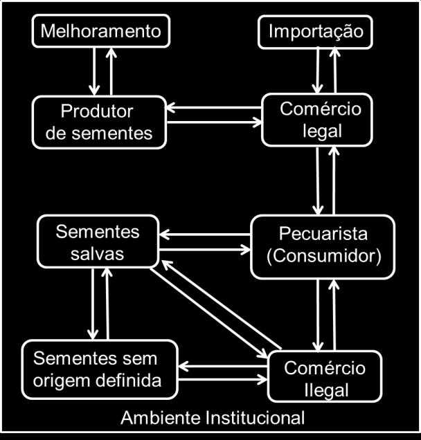 instituição responsável pelo Banco Ativo de Germoplasma e trabalhos de melhoramento visando à obtenção de cultivares superiores.