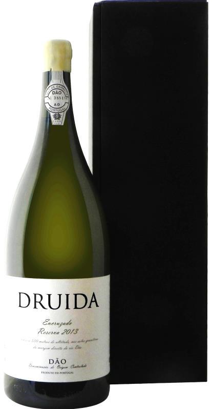 NUNO do Ó Dão / Bairrada DRUIDA ENCRUZADO