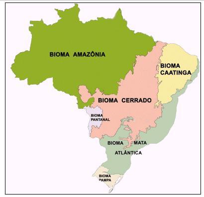 BIOMAS: REGIÃO BIOGEOGRÁFICA, COM CARACTERÍSTICAS PRÓPRIAS DE VEGETAÇÃO, CLIMA, FAUNA, FLORA,