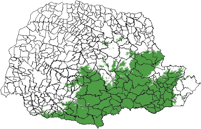 Zoneamento da cultura da maçã Atual (até