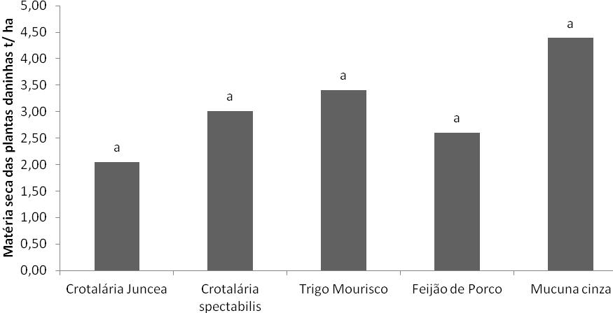 As principais espécies de plantas daninhas encontradas nos tratamentos foram poaia branca (Richardia brasiliensis), guanxuma (Sida sp.), milhã (Panicum maximum), capimarroz (Echinochloa sp.