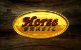 Exibição: segunda a sexta, entre 20h30 e 20h45 / sábado, entre 20h30 e 21h Apresentação: Alci Costa Leite Com foco nos esportes equestres, Horse Brasil tem espaço para todas as raças