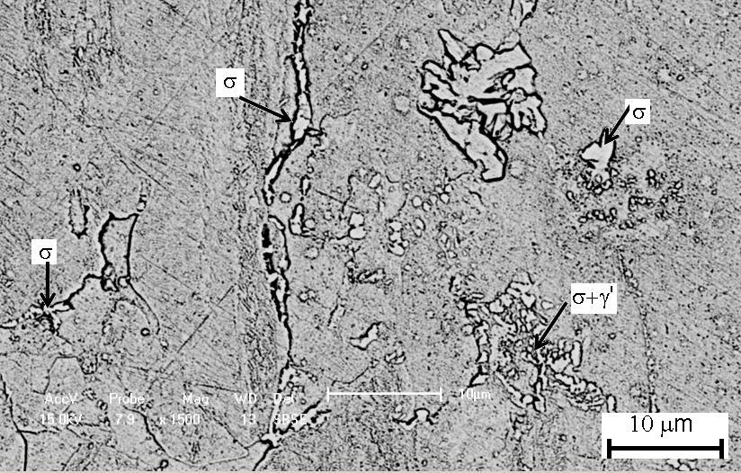 Figura 4.12: Micrografia do AID SAF 2205 tratada a 800 C por 60 minutos obtida por MEV Eletrons retroespalhados (BSE) (Ataque: Behara) Pela análise da figura 4.