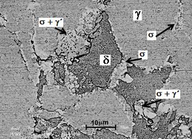 Figura 4.14: Micrografia do AID SAF 2205 tratada a 800 C por 120 minutos obtida por MEV- SE (Ataque: Behara) Pela análise da figura 4.