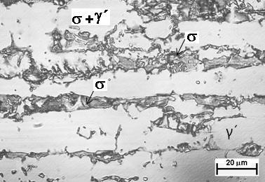 24: Micrografia do AID SAF 2205 tratada a 900 C por 60 minutos obtida por MO (Ataque: KOH) Figura 4.