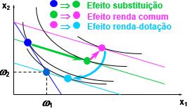 (b) Decomponha a variação na demanda bruta pelo bem 1 em efeito substituição, efeito renda tradicional e efeito renda dotação.