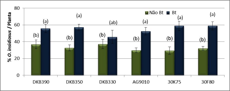 4 Avaliação de variáveis comportamentais como metodologia para estudo de organismos não alvo em milho Bt presa até a sua captura (tempo de busca).