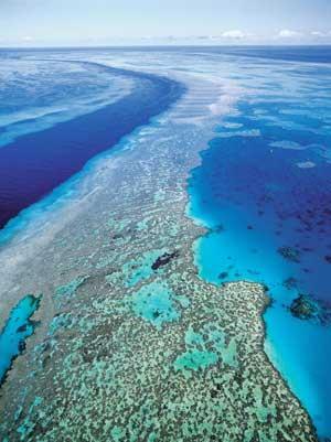 Grande barreira de corais australiana,