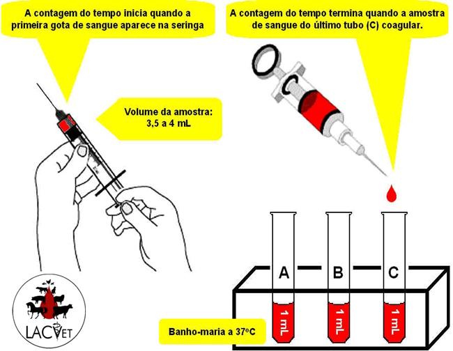 Tempo de