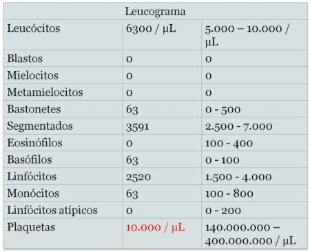 LEUCOGRAMA - Estudo da série branca (ou Leucócitos).