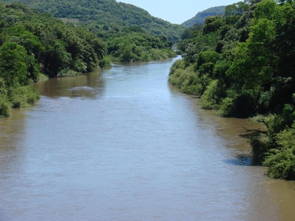 Marginação plaquetária queda no fluxo sanguíneo quebra do fluxo axial* marginação