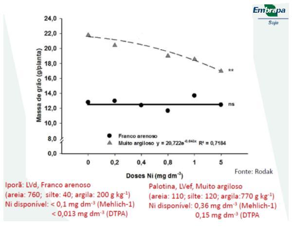 SEM RESPOSTA À ADUBAÇÃO COM Ni Fonte: