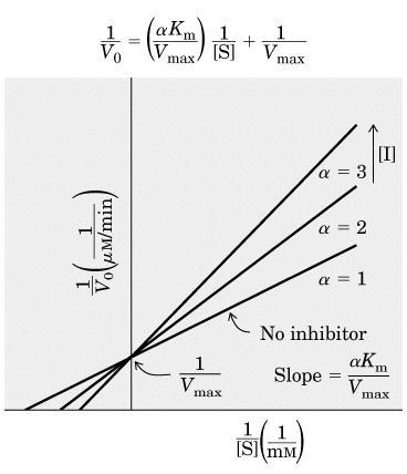 Ki Ki K EI K ESI Ki: constante de dissociação do inibidor Qto < Ki, mais potente é a inibição. Inibição competitiva Ex.: Metanol/Etanol (Semelhança estrutural!