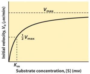 LINEARIZAÇÃO da Equação de Michaelis-Menten para determinação de Km e Vmax V o : velocidade no tempo inicial quando a [S] >>> [E] V max : V máximo [S]: