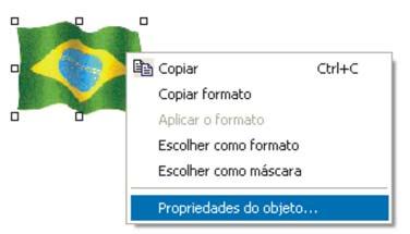 Português Inglês Espanhol Em seguida, insira um objeto (imagem, legenda) para que o respondente clique e acesse o formulário desejado. No exemplo, utilizaremos a bandeira dos respectivos países.