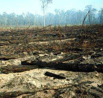 vem usando conhecimento ecológico para apoiar medidas