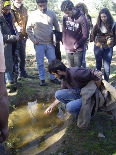 Trabalhos no viveiro de plantas;