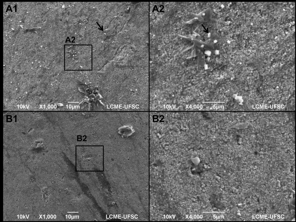 25 FIGURA 1 Imagens obtidas em MEV da superfície dos cones de guta-percha após imersão em NaOCl a 1% sem (A1, A2) e com surfactante (B1, B2) por 1 min.