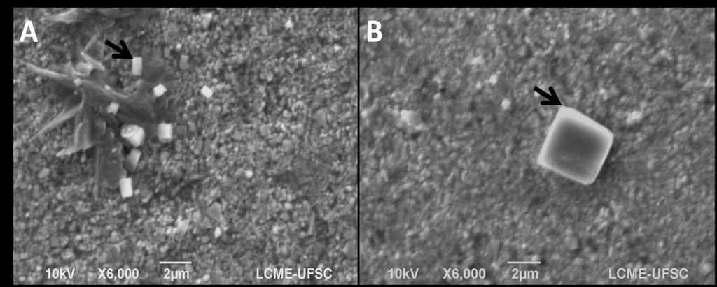 27 FIGURA 3 Imagens obtidas em MEV após imersão dos cones de guta percha em NaOCl a 1% por 1 min (A, 6000X) ou em NaOCl a 5,25% também por 1 min (B, 6000X).