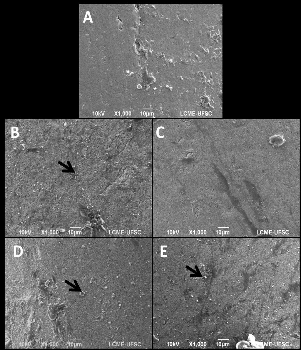 28 FIGURA 4 Imagens obtidas em MEV da superfície dos cones de guta-percha: controle (A), e após imersão em NaOCl a 1% por 1 min sem (B) e com surfactante (C) e após imersão em NaOCl a 5,25% por 1 min