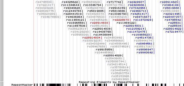 momento para a região cromossômica acima apresentada (adaptado de http://genome.ucsc.