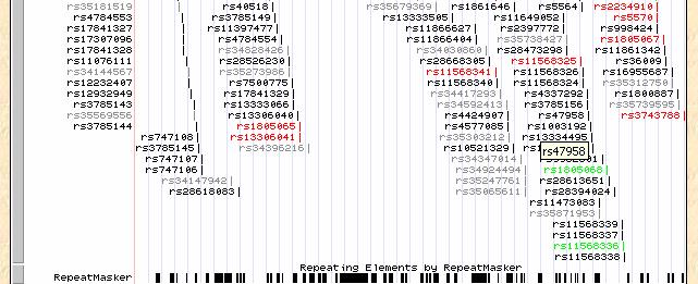 momento para a região cromossômica acima apresentada (adaptado de http://genome.ucsc.