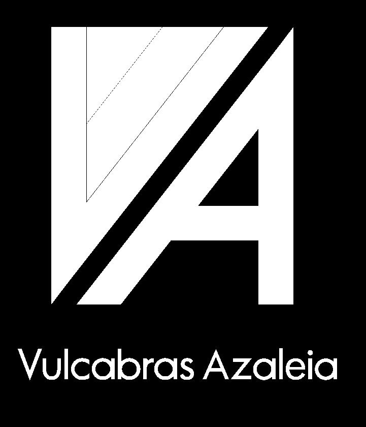 de 2017 Vulcabras Azaleia S.