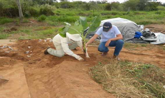 tratamento da água cinza. Foto: Miram Fernandes. Figura 9.